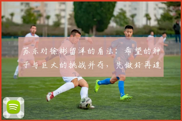 苏东对徐彬留洋的看法：希望的种子与巨大的挑战并存，先做好再追求完美