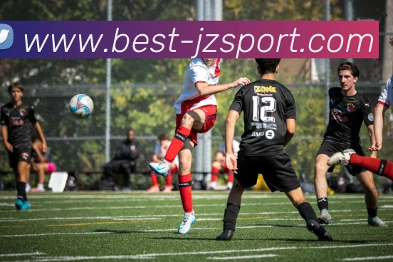 九州体育平台生态图