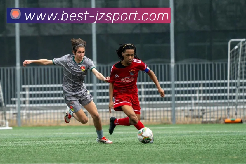 九州体育APP 封面图